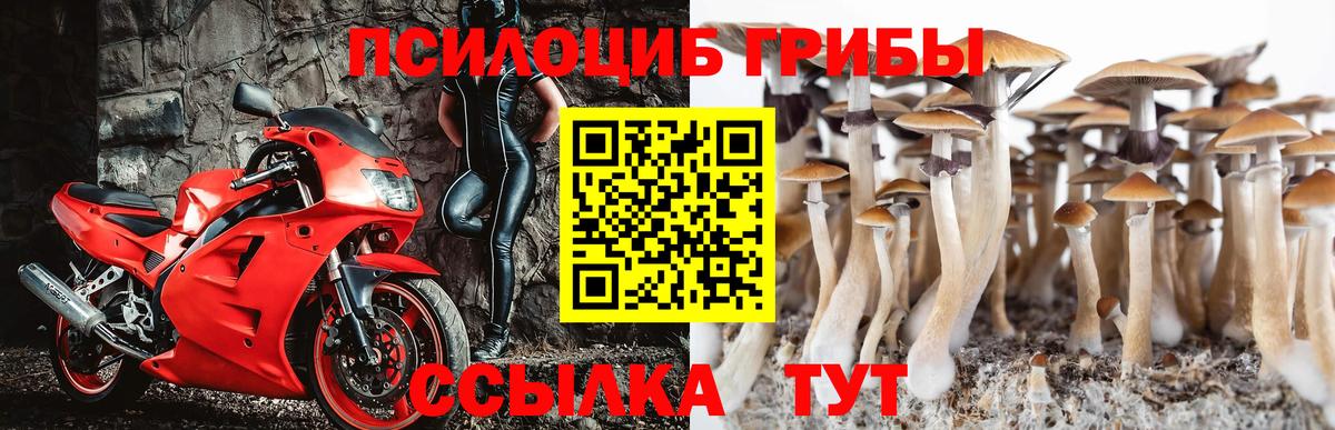 Москва  Псилоцибиновые грибы мухоморы  Вход с VPN 